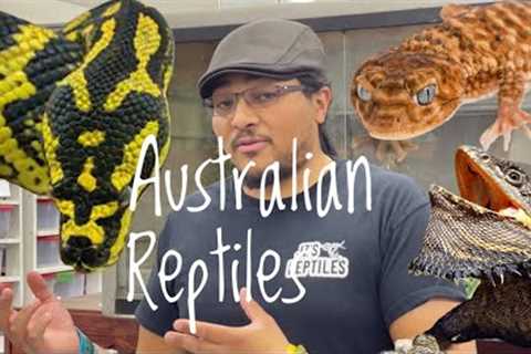 5 Great Pet Reptiles From Australia!