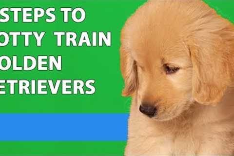 How To Potty Train Your Golden Retriever Puppy (5 Easy Steps)