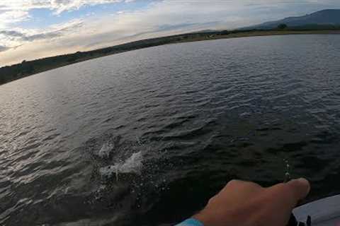 These Flats are FULL OF FISH, Bass Fishing South Africa.