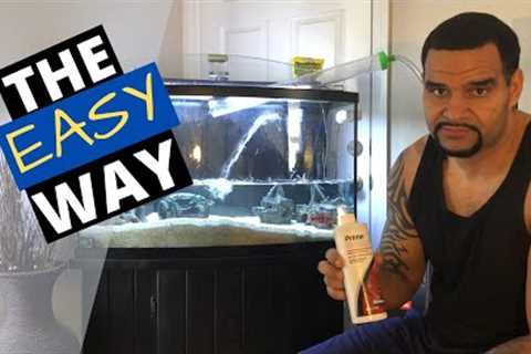 Aquarium Water Change - Fast and Easy (HOW TO)