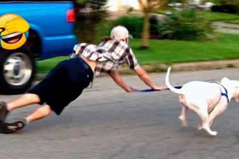 Funny Animal Videos 2022 😂 - Best Dogs And Cats Videos 😺😍 #26