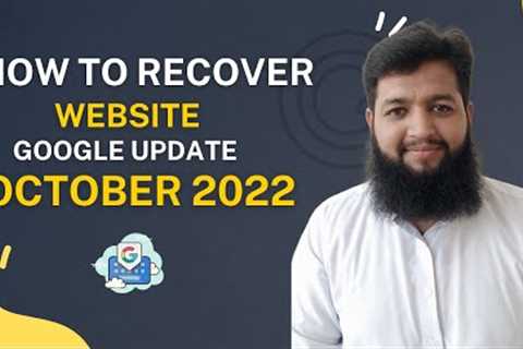 How To Recover website From Google Update