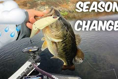 California Delta Bass Fishing.(SEASONS CHANGED)
