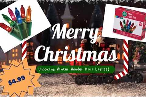 Unboxing Winter Wonder Mini Lights (140 Lights) #christmas #christmastree #christmastreedecoration