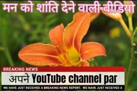 meditation  and relaxing music video by meditation musical channel pr #relaxing #meditation #video