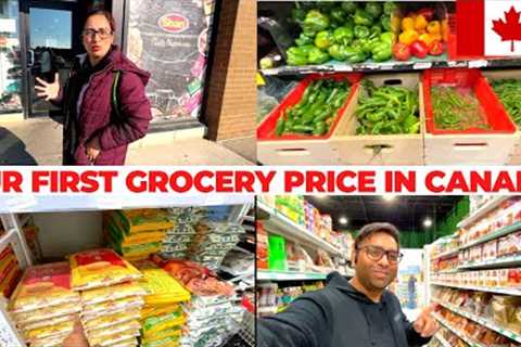 FIRST GROCERY SHOPPING IN CANADA 🇨🇦 / Grocery Prices in 2022 - Pakistani Indian Grocery Vlog