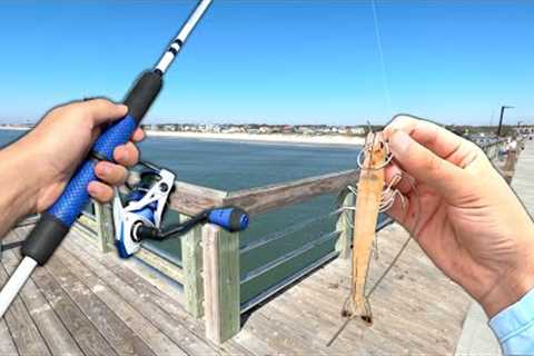 Eating Whatever I Catch.. PIER Fishing (Catch and Cook)