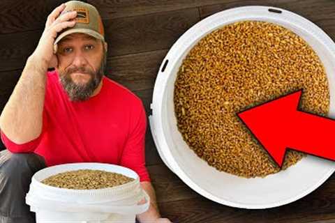 30 Year Supply Of Survival Food Ruined!