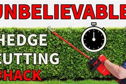 This one trick will save you a LOT of TIME trimming hedges