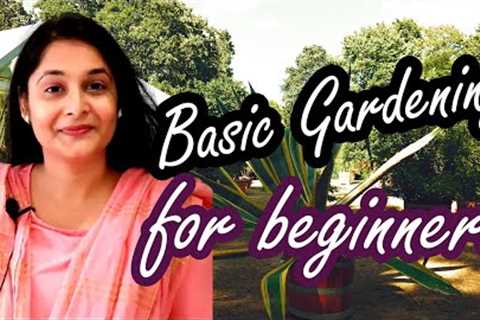 Gardening Basic Tips 01/ How to start gardening/ Choose right plants for your house #beginner #plant