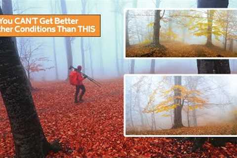You Won't Believe these AWESOME Weather Conditions for Landscape Photography