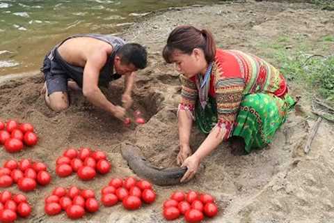 Survival Skills: Dig Under Sand Meet Fish Have Red Eggs - Catch A Lot Fish With Red Eggs