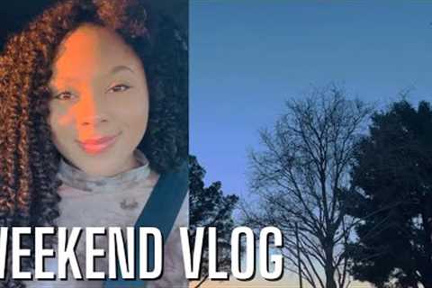 WEEKEND VLOG | COME SHOPPING WITH ME | Panera, Dollar Tree, 99 cent store @serinadollvlogs