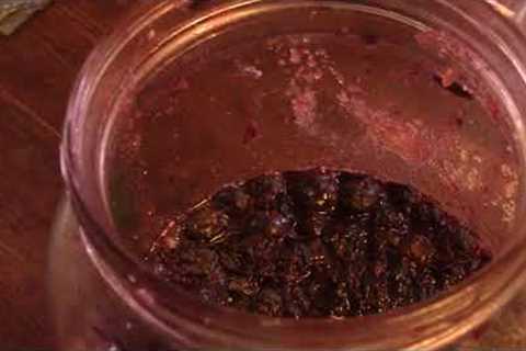 How to Make Fermented Fruit Juice. A Cannabis Finisher Fertilizer