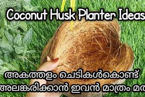 coconut husk planter ideas/gardening ideas for home/plant/gardening/diy planter ideas