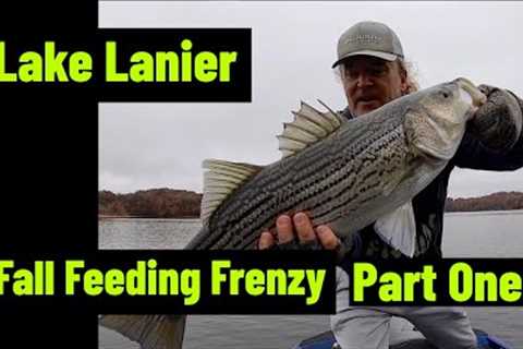 Lake Lanier Fall Feeding Frenzy Part One
