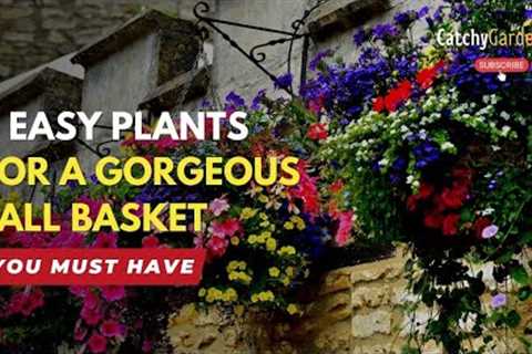 5 Easy Plants to Use Now for a Gorgeous Fall Basket 🌱🪴🌸 // Gardening Tips