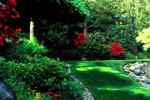 Relaxing Music With Beautiful Nature Videos  Reduce Stress,#relax