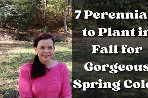 7 Perennials to Plant in Fall for Gorgeous Spring Color | Gardening with Creekside
