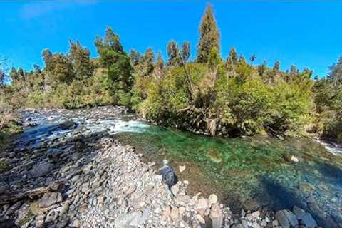 Fly Fishing the Most Stunning River I Know