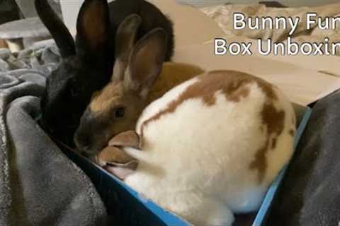 Bunny Fun Box Unboxing! Bunicorn!