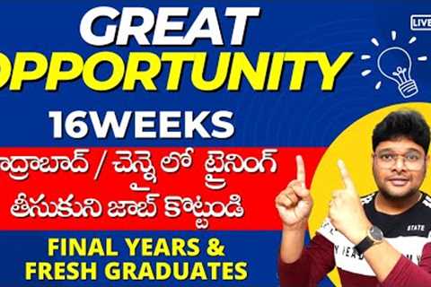 16 Weeks Training + 10 guaranteed Job Interviews | How to get top jobs in MNC's | @V the Techee
