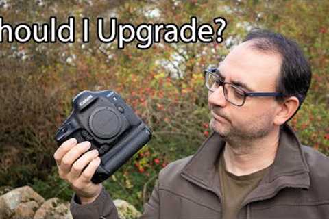 Is it Time to UPGRADE my Camera? And Why I still LOVE the CANON 1DX for Wildlife Photography