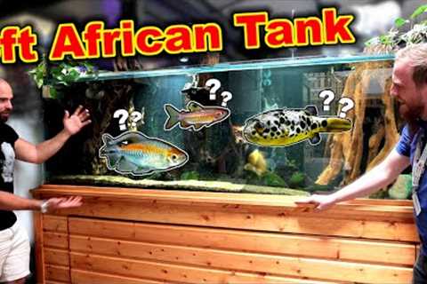 My BIGGEST Tank EVER!! (8ft African Aquarium Build Planning)