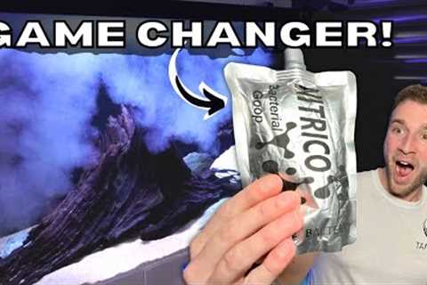 The Ultimate Way To Instantly Cycle Your Aquarium!