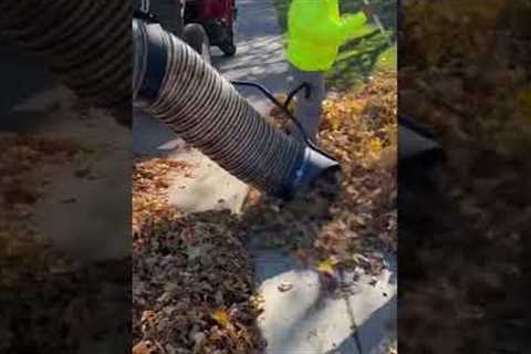 MASSIVE Vacuum 16 INTAKE! Leaf Dragon!