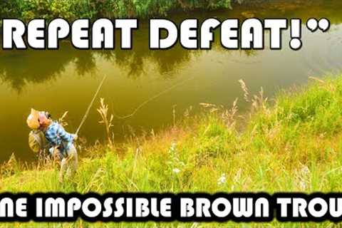 Repeat DEFEAT - One IMPOSSIBLE Brown Trout as We Fly Fish A Central Alberta Brown Trout Stream