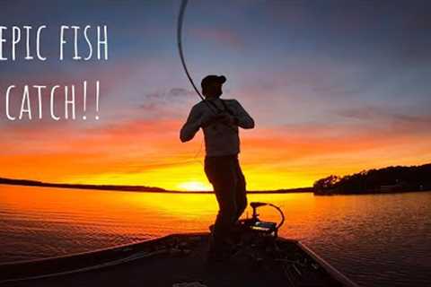 SCHOOLING BASS Crushes TOPWATER During EPIC SUNSET!!! || Lake Gaston Bass Fishing