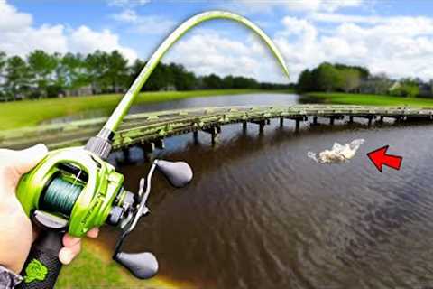 This POND is LOADED w/ GIANT Bass (Bank Fishing)