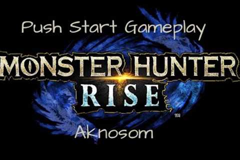 Monter Hunter Rise Aknosom LS