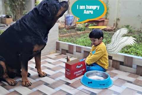 Dog playing with little angle | try not to laugh | funny videos|