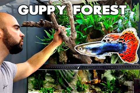 MAKING A GUPPY BREEDING FOREST AQUARIUM / PALUDARIUM | MD FISH TANKS