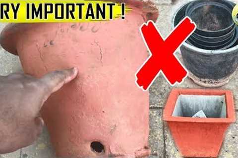 Container Choice in Gardening | Useful Pot Selection Tips and Gardening Ideas