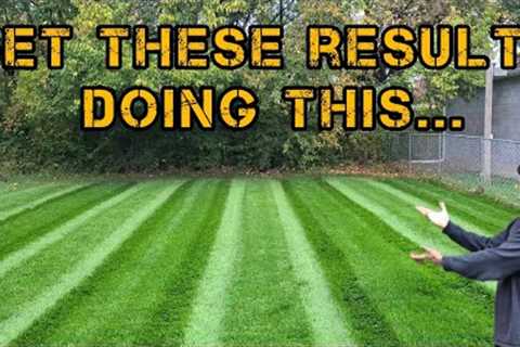 This is what happens when you RENOVATE your Lawn