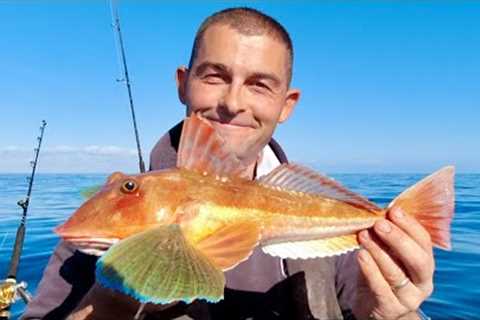 Gurnard Sea Robin Catch and Cook - Three Generations of family cook Seafood | The Fish Locker
