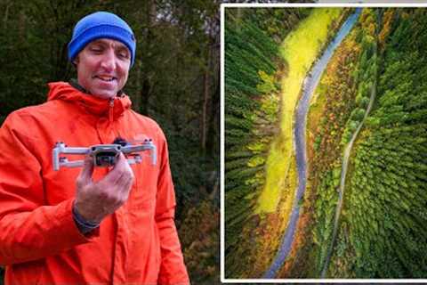 I crashed my drone for this!? | Woodland Autumn Photography