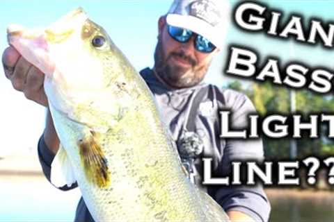 Lake O' The Pines Fall Bass Fishing: 7lb vs 17lb Line Challenge! Is Lighter Actually Better???