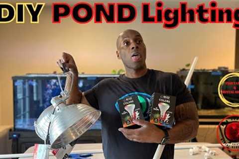 DIY Pond Lighting + Mental Health #aquarium #mentalhealth #ronjohnsonlifecoach #fish