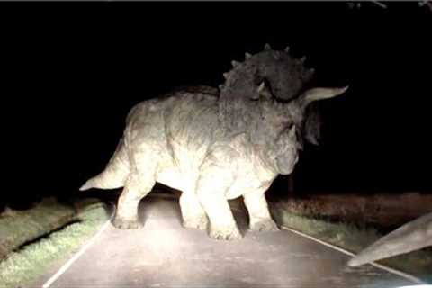 3 Unsolved Dinosaur Mysteries That Can't Be Explained