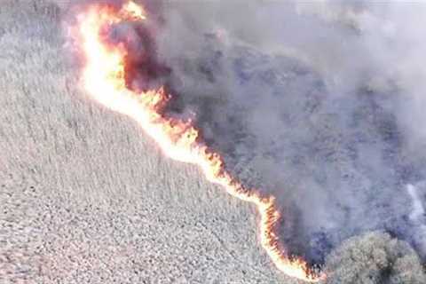 Scientists Just Announced That Earth's Vital Signs Threat Level Just Increased To Code Red