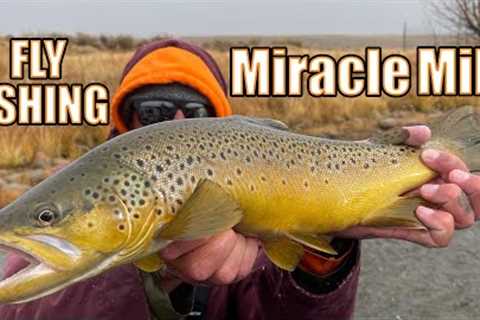 Fly Fishing Wyoming at THE MIRACLE MILE for LARGE TROUT on the North Platte River - Drift Fishing