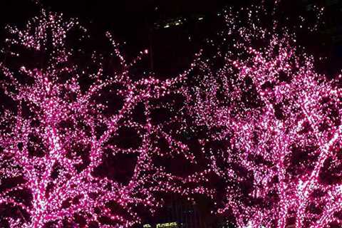 7 Christmas Lights in Non-Traditional Colors and Where to Find Them