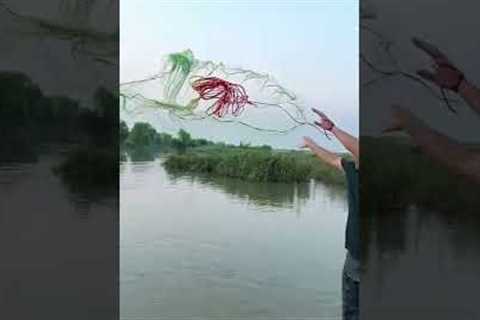 Best cast net fishing Catching big fish with cast net  Net fishing 9