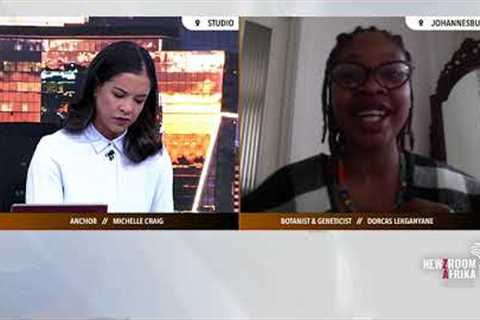 The science behind African traditional medicine