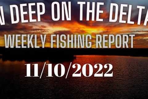 In Deep on the Delta Weekly Fishing report for 11/10/2022