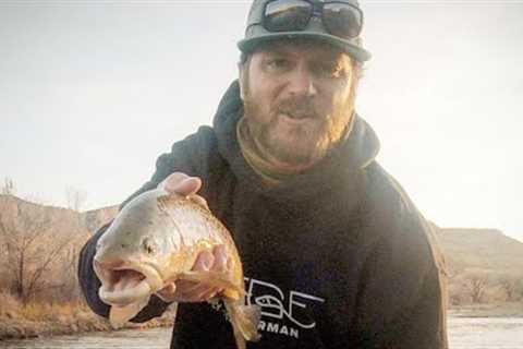 HOW TO FLY FISH FROM A DRIFT BOAT